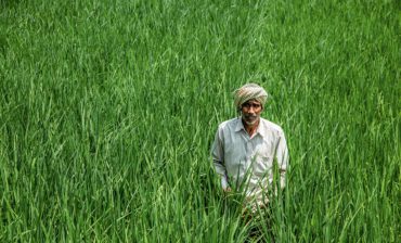 Out of the Box Solution for Farmers