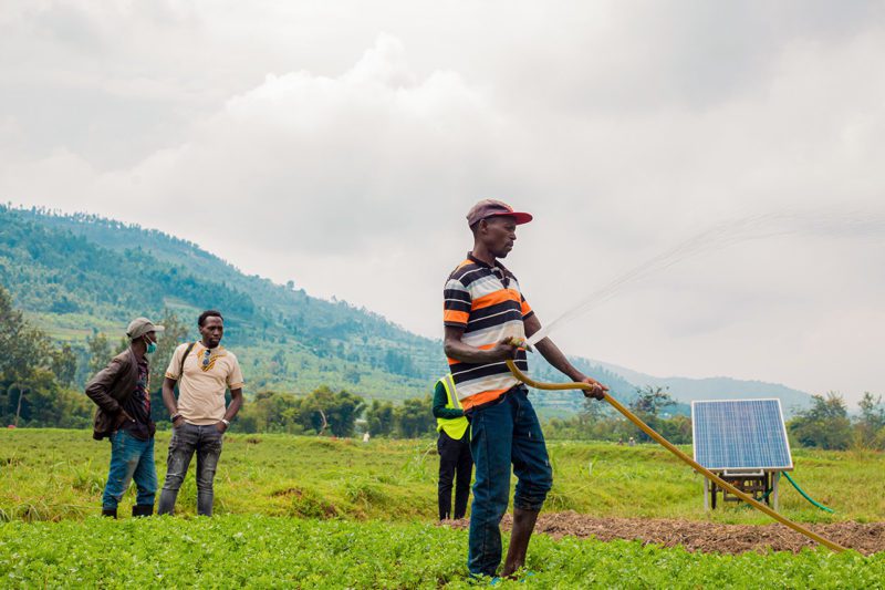 Solar panel generating power for agriculture