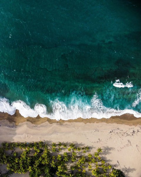 Ocean Shoreline