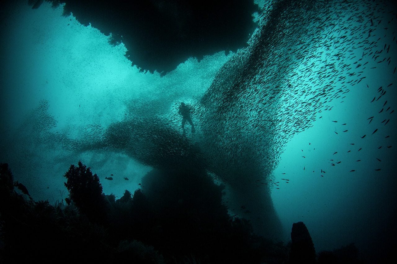 Diver in ocean seen from below