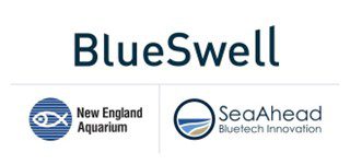 BlueSwell Incubator Program Selects Third Cohort of Startups