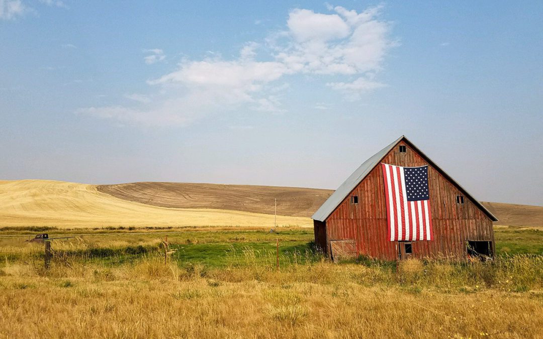 Revitalizing Rural America