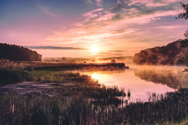 Tidal ecosystem at sunset