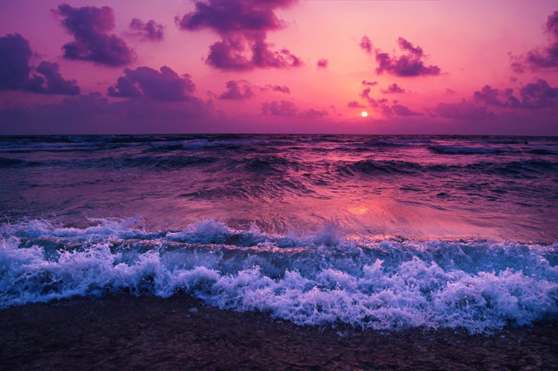Ocean Shoreline at sunset