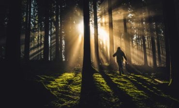 Why Nature, Why Now?