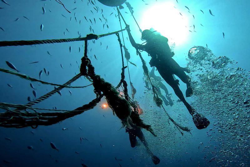 Diver under water