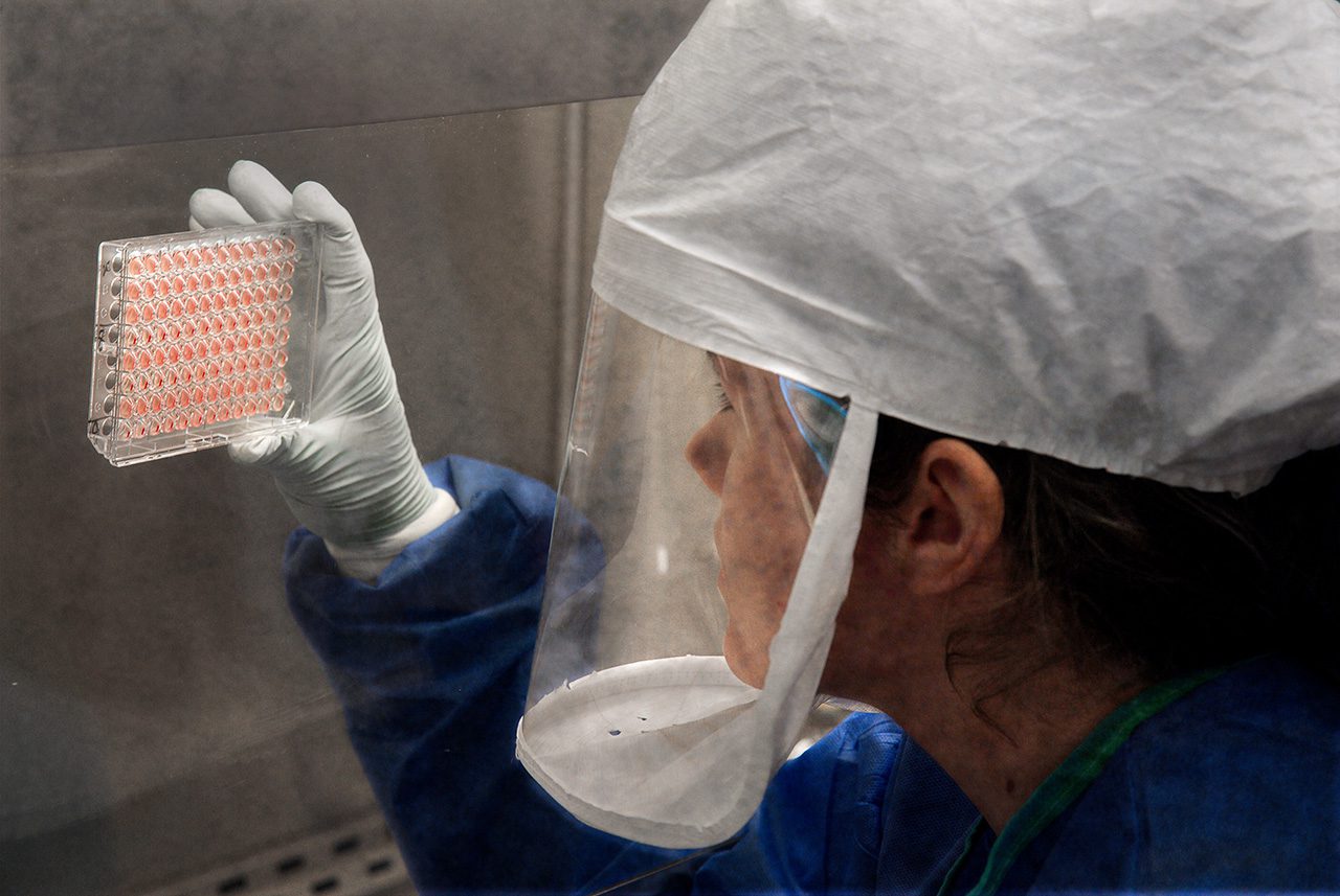 Biomedical scientist at work