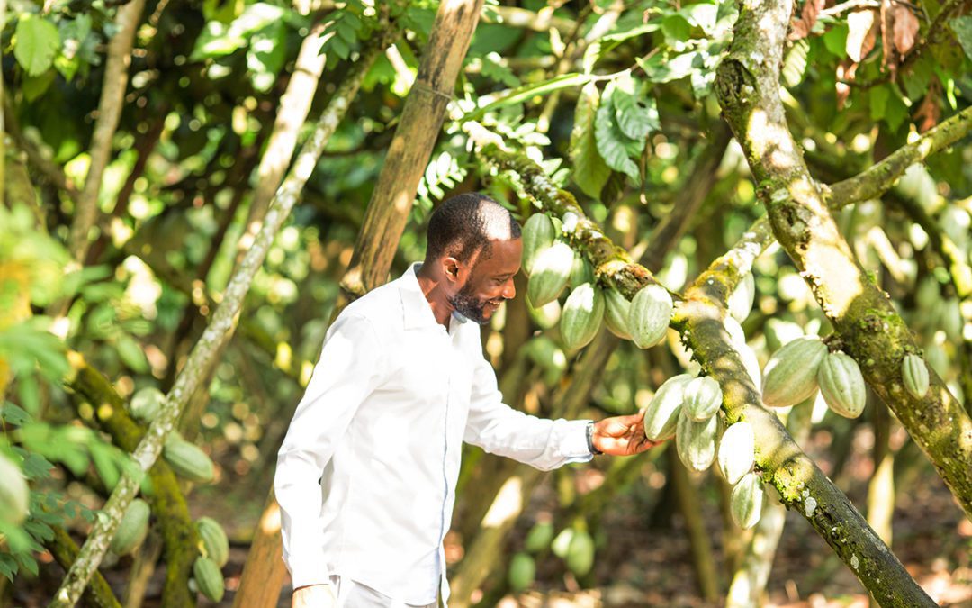 Climate-Smart Agriculture