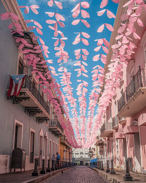 Pink decorations on Puerto Rico Street