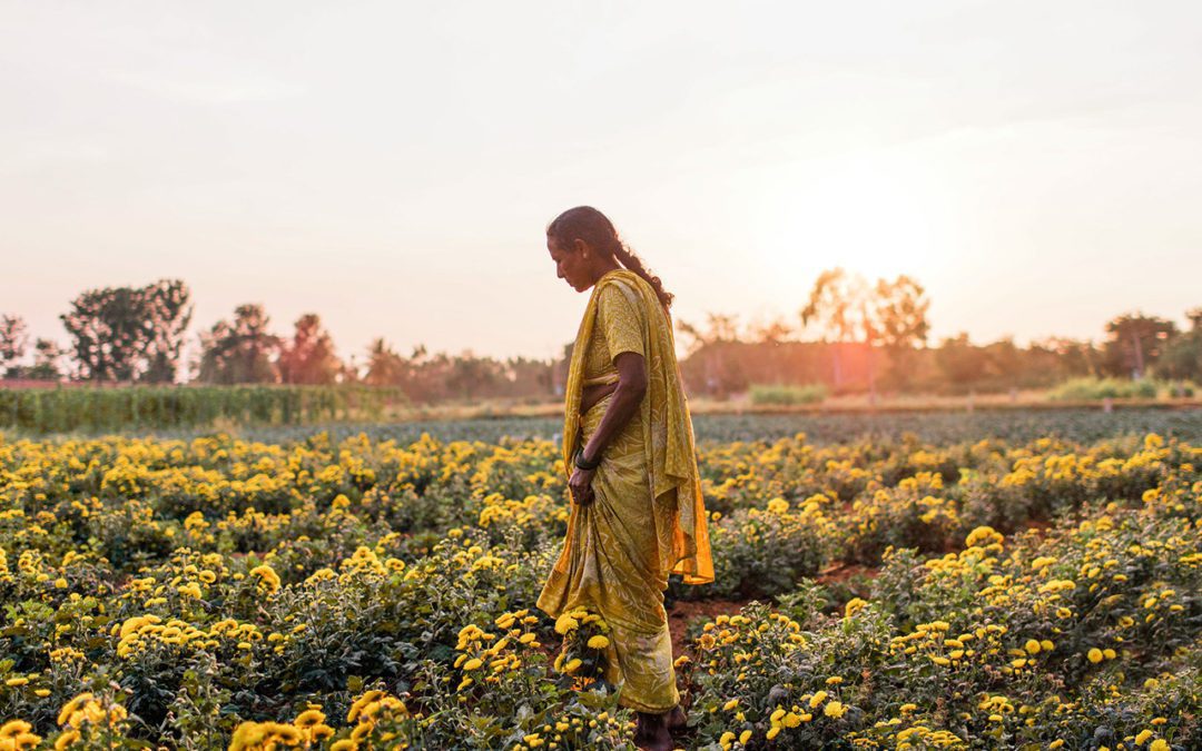 Climate Change and Water System Change, in the Present Tense