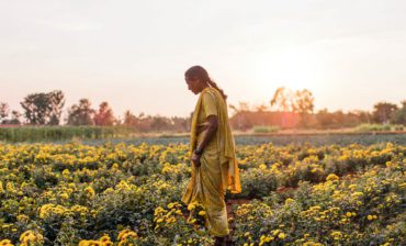 Climate Change and Water System Change, in the Present Tense