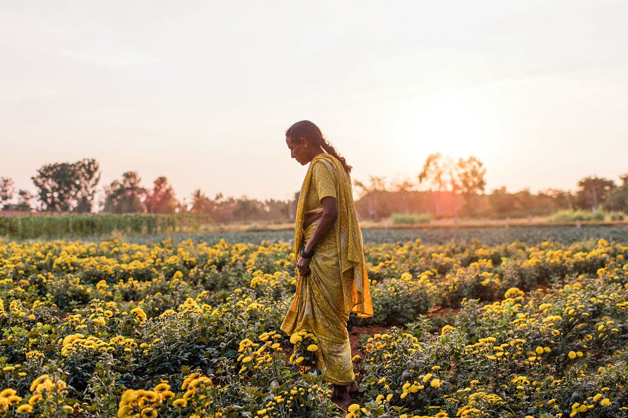 Climate Change and Water System Change, in the Present Tense Impact