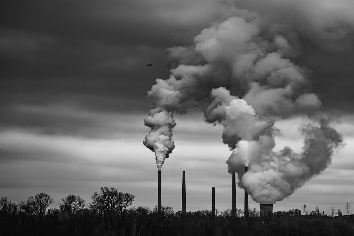 Vahouny - GHG FEATURED