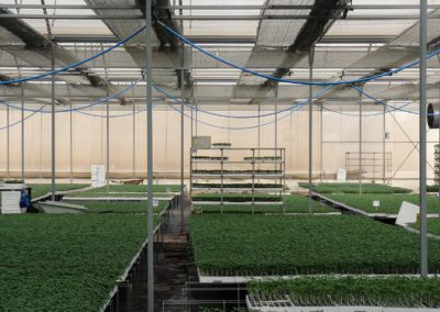 Agri-tech growing field