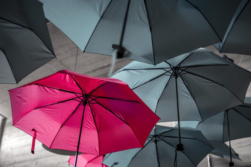 Pink umbrella amid grey umbrellas
