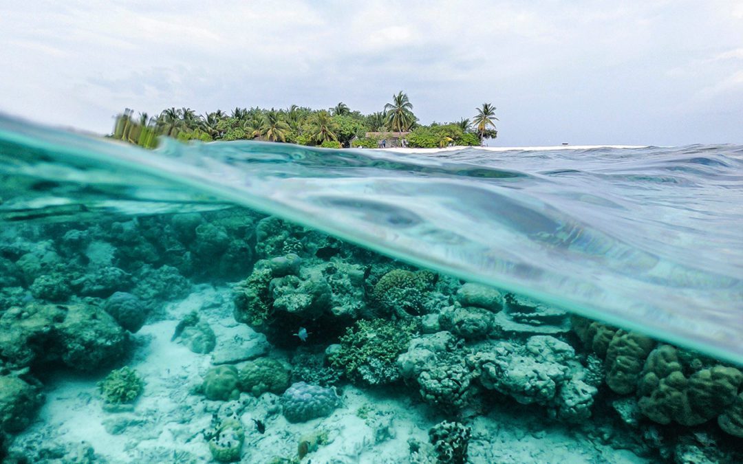 The Blue Economy Resilience Initiative