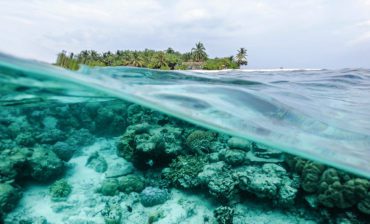 The Blue Economy Resilience Initiative