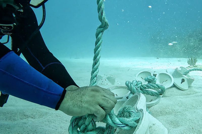 Placement of artificial coral on sea bed