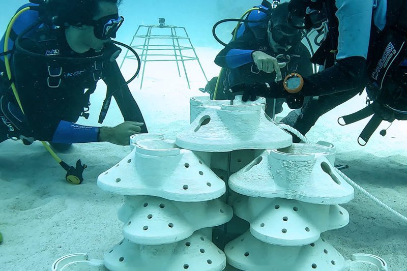 3-D Printed Artificial Coral
