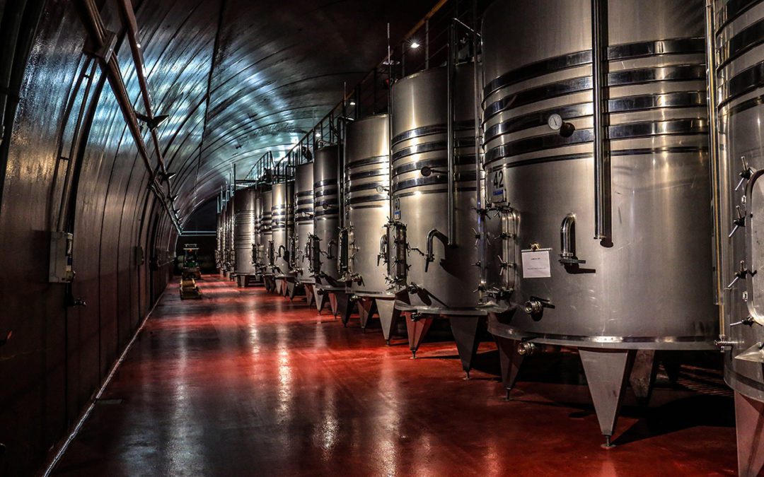 From Sugar to Steak: The Magic of Precision Fermentation
