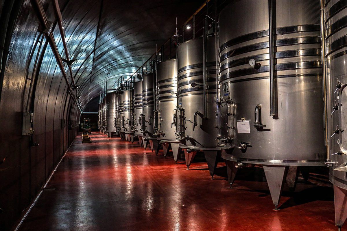 Ingles-LeNobel - Precision Fermentation FEATURED