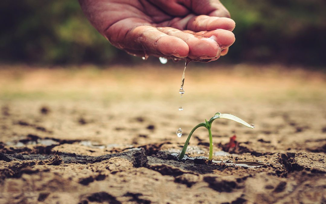 How To Find a Values-aligned Financial Advisor