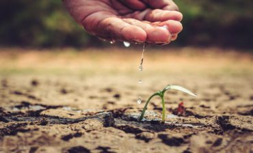 How To Find a Values-aligned Financial Advisor