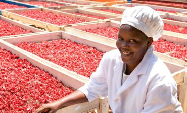 Building an Ecosystem for Entrepreneurship in Africa