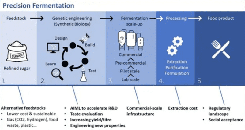 Precision Fermentation Graphic