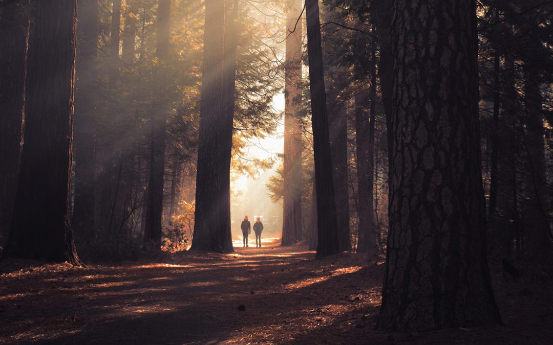 Investing from First Principles