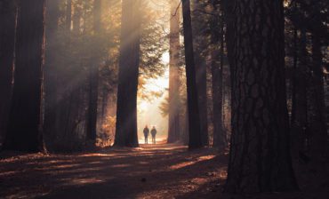 Investing from First Principles
