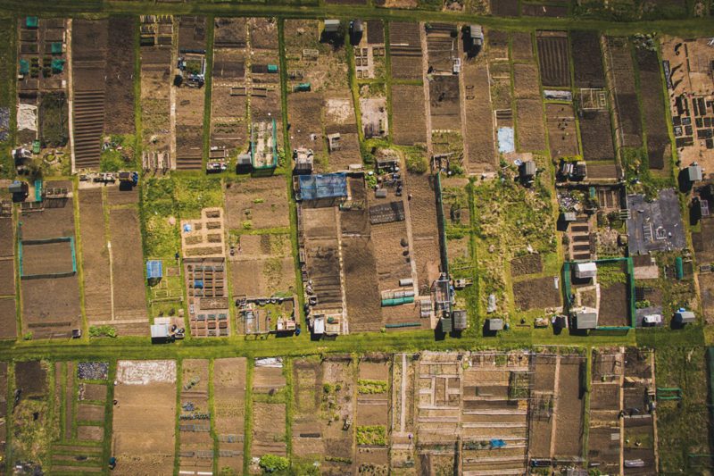 Land plots seen from above