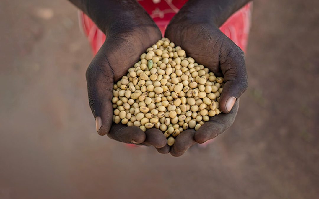 Reducing Chronic Malnutrition through Women Empowerment
