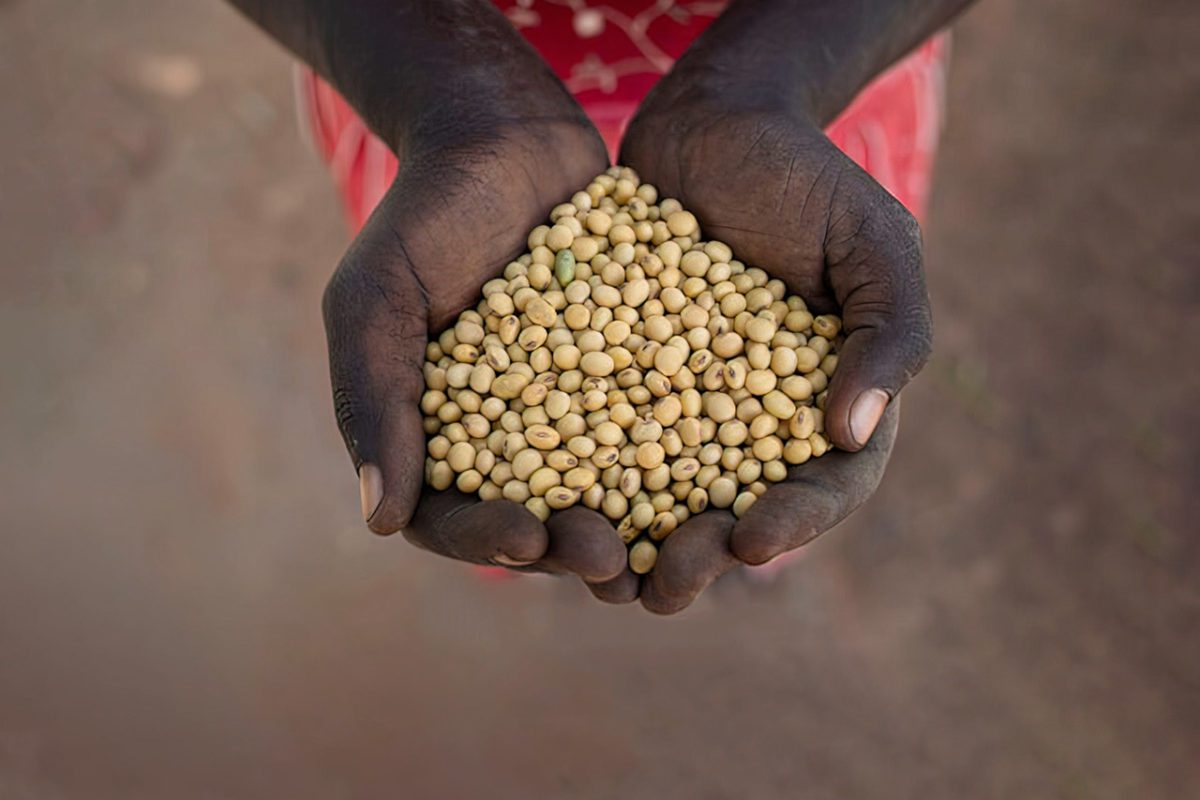 Photo Courtesy of Business Malawi-FEATURED