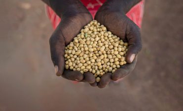 Reducing Chronic Malnutrition through Women Empowerment