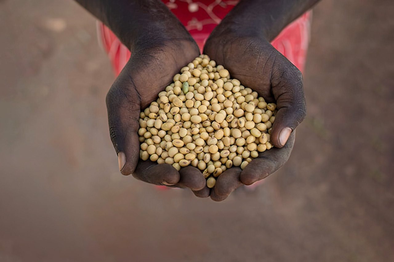 Image showcasing Reducing Chronic Malnutrition through Women Empowerment | Impact ...