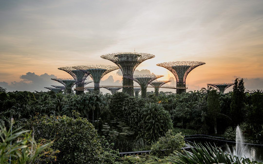 Asian Family Offices’ New Focus on Sustainability