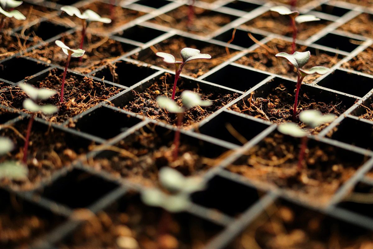 Bill - Nanotech Farming FEATURED