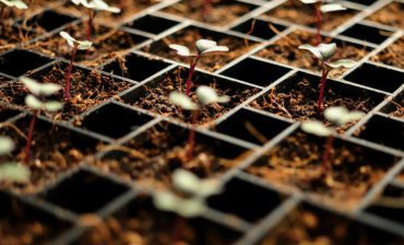 How Nanotechnology Can Revolutionize Farming