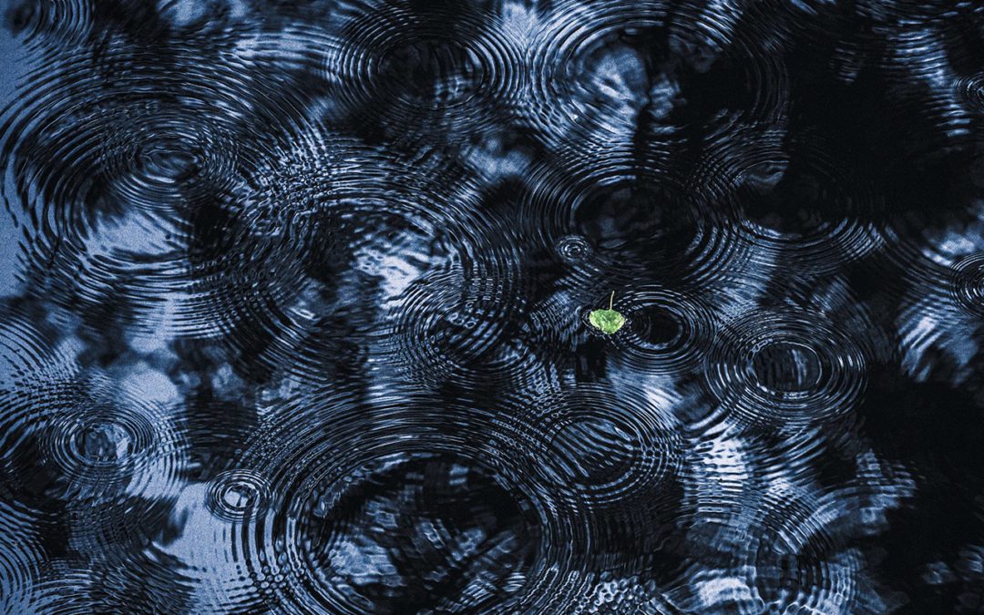 Impact Measurement: Outside-In vs. Inside-Out Approaches