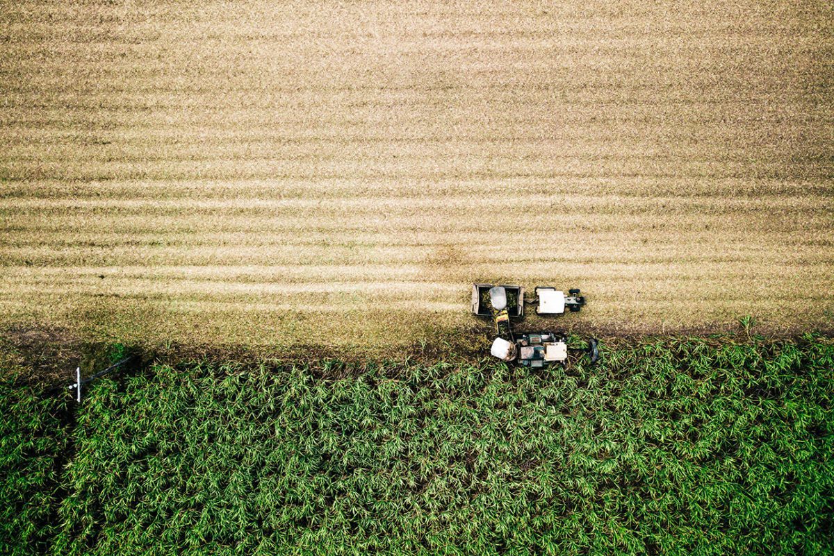 Net-Zero Agriculture and Food Systems FEATURED 01
