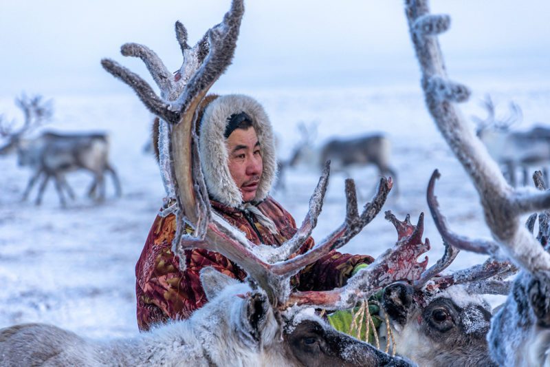 Eskimo with Elk