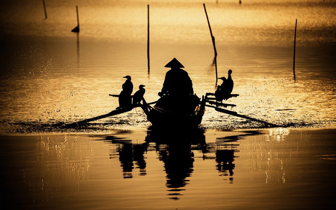 Implementing the Global Biodiversity Framework