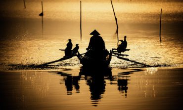 Implementing the Global Biodiversity Framework