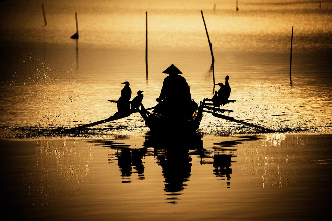 Asian fisherman with birds at sunset