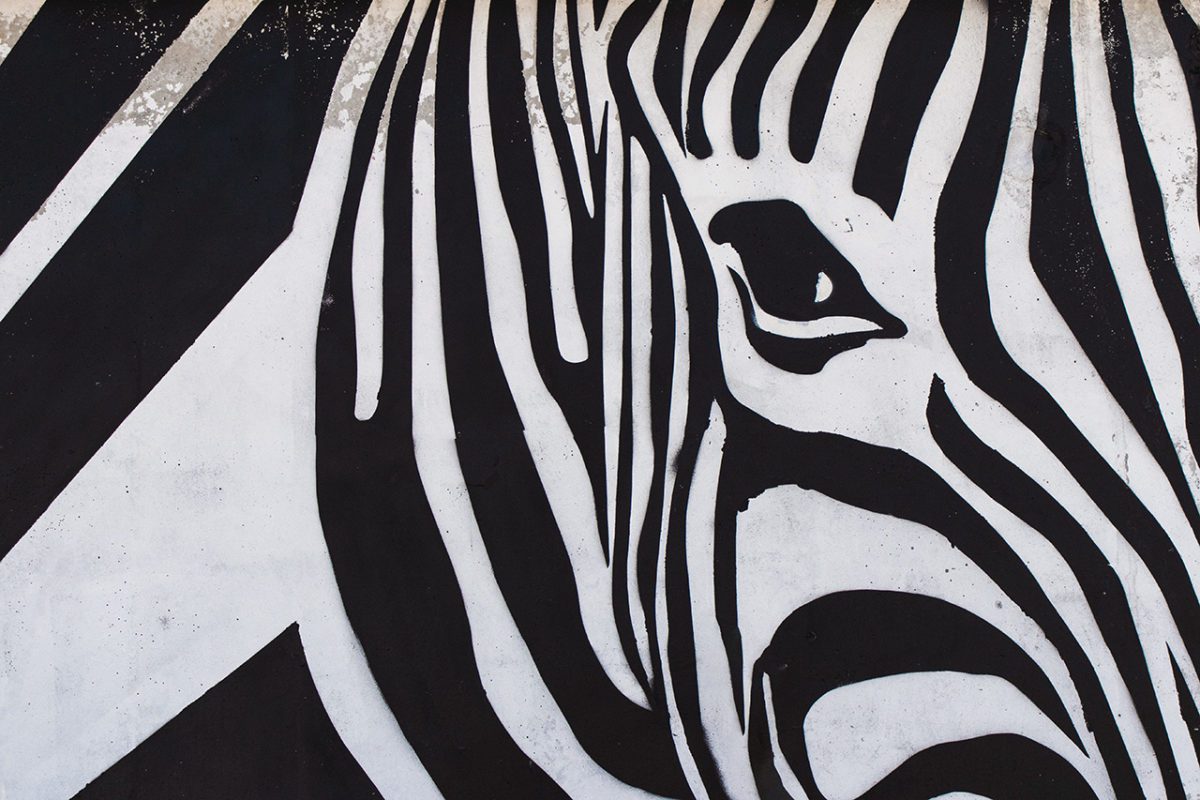 Scholz - Zebras not Unicorns FEATURED OP2