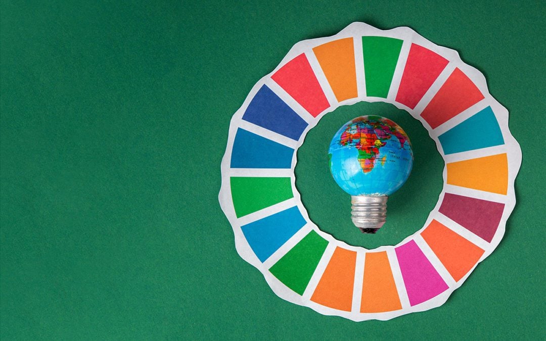 The State of the SDGs: Halfway to 2030
