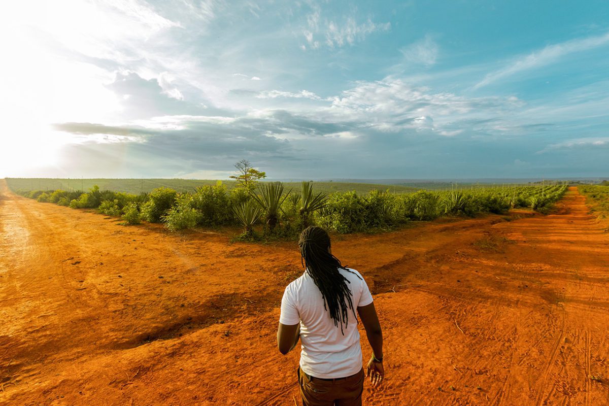 Luni Libes - Profitable Startups in Africa FEATURED