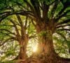 What is Regenerative Economics?