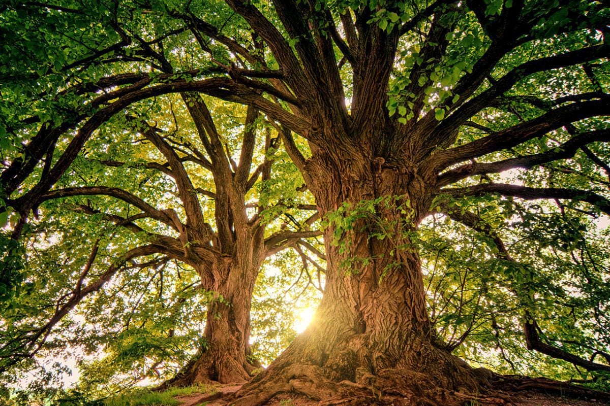 Fullerton - Regenerative Economics FEATURED